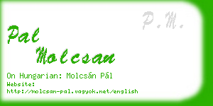 pal molcsan business card