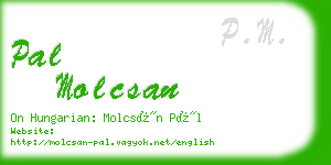 pal molcsan business card